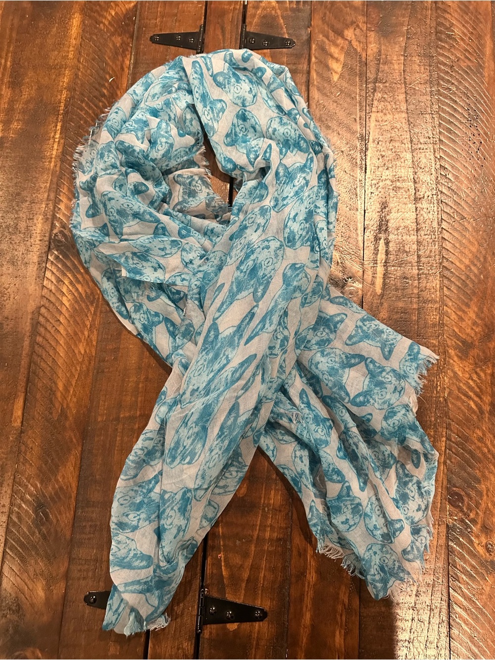 Light Blue Cat 🐱 Print Women's Scarf
